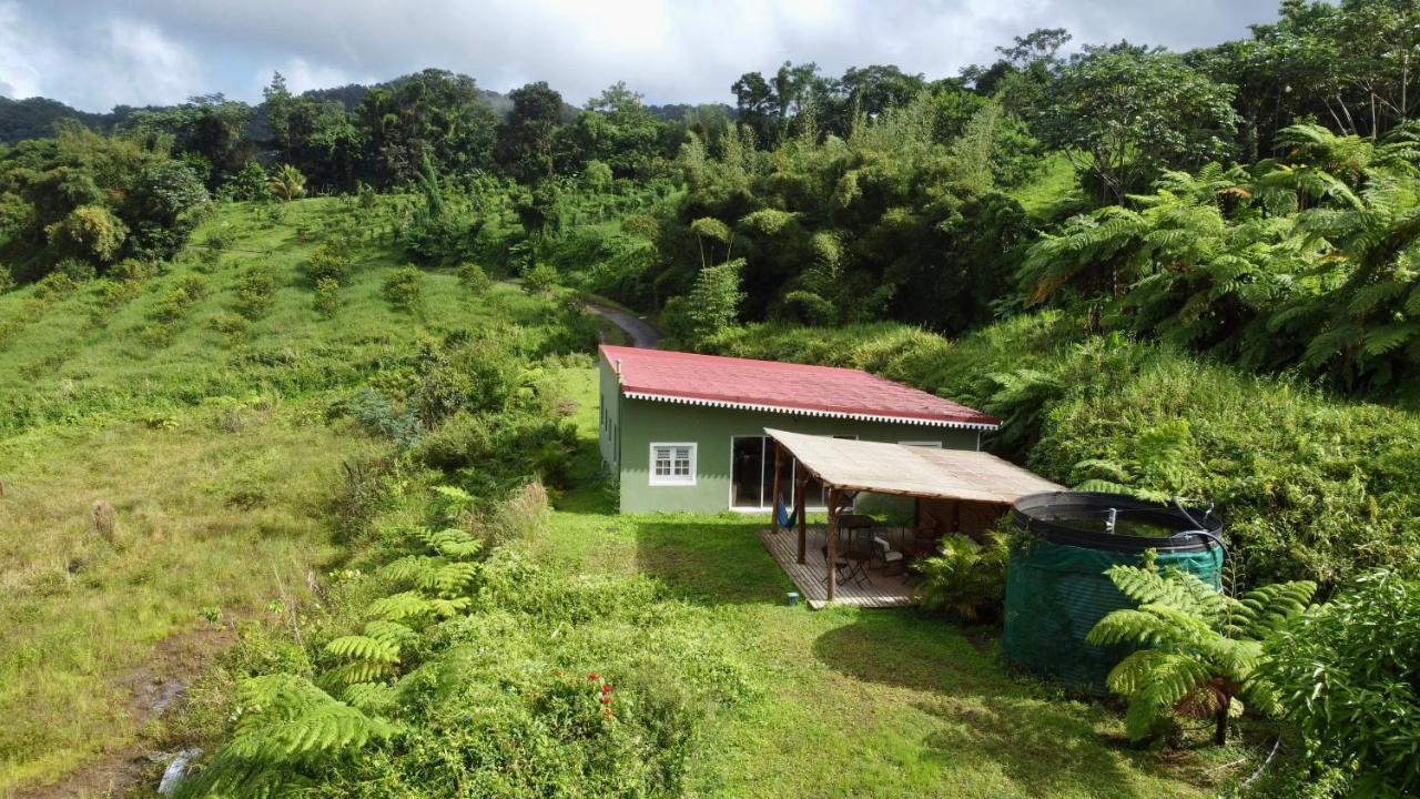 Chambre Et Sdb Privative Ylang Ylang Vue Mont Pelee Dans Maison Partagee Le Morne-Rouge Buitenkant foto